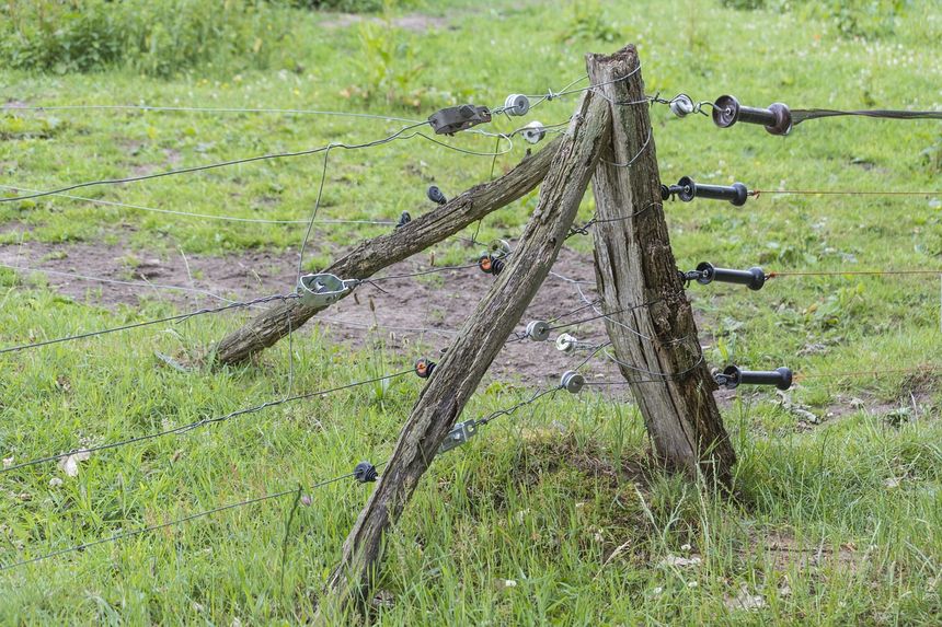 Elektryczny pastuch|undefined