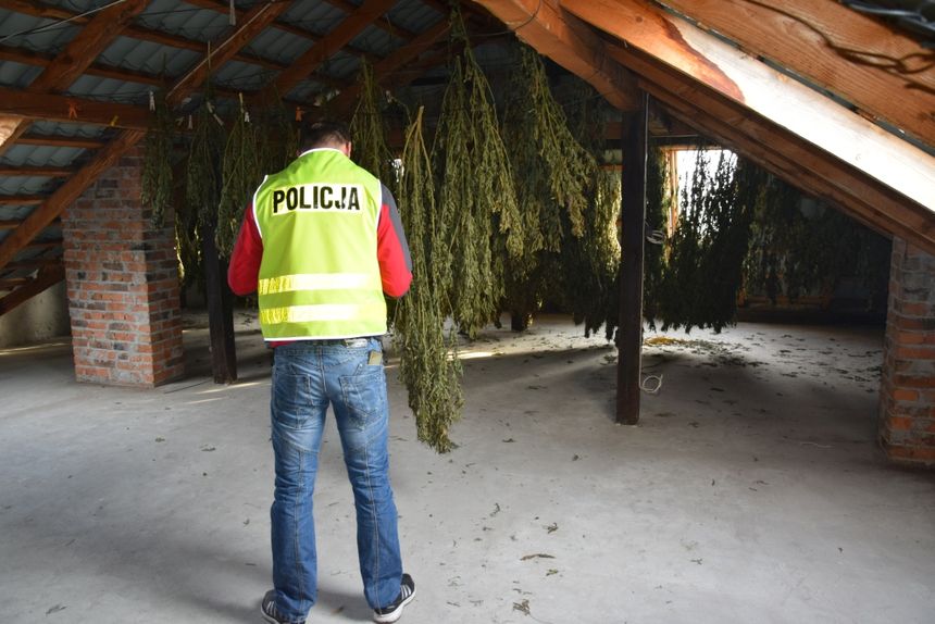 Marihuana|undefined