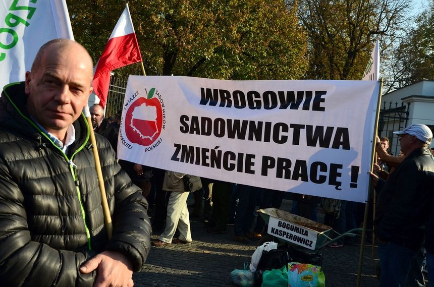 Minister rolnictwa interweniuje w sprawie owocowej zmowy cenowej|undefined