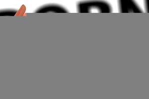 Pornografia|undefined