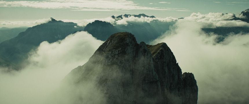 Dziki film