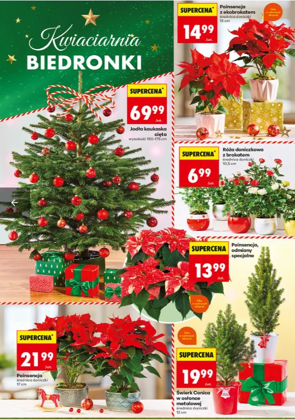 Biedronka