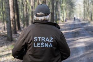 Strażnik leśny