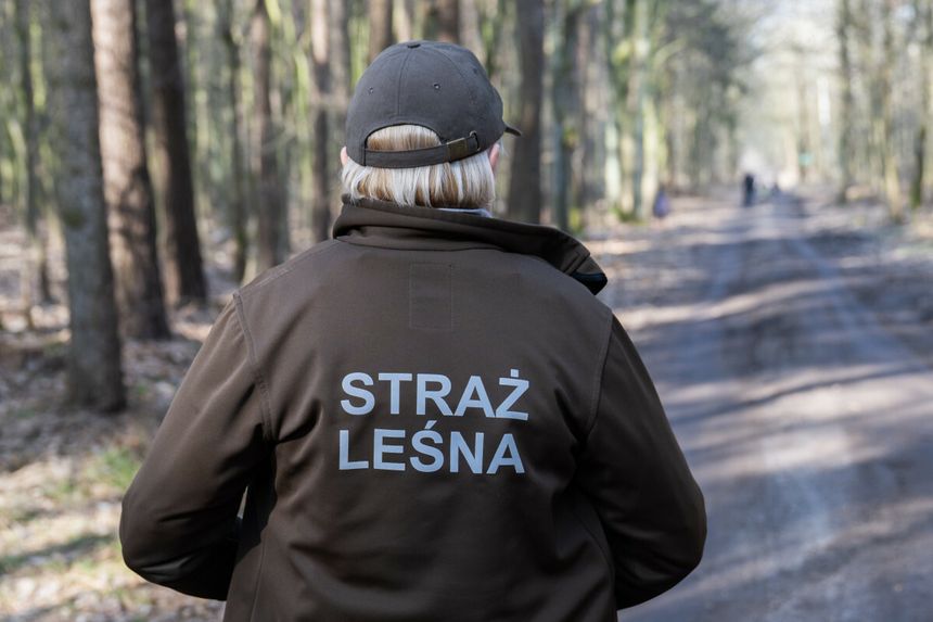 Strażnik leśny
