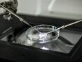 In vitro