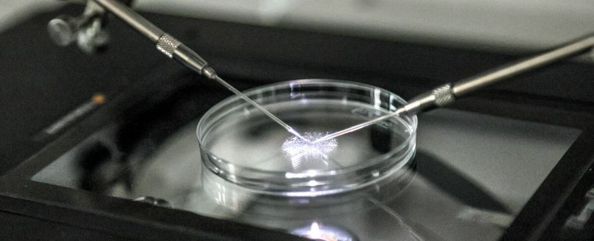 In vitro