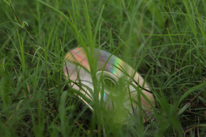 Gdzie wyrzucić płyty CD?