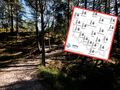 Pogoda na czerwiec 2026 według IMGW