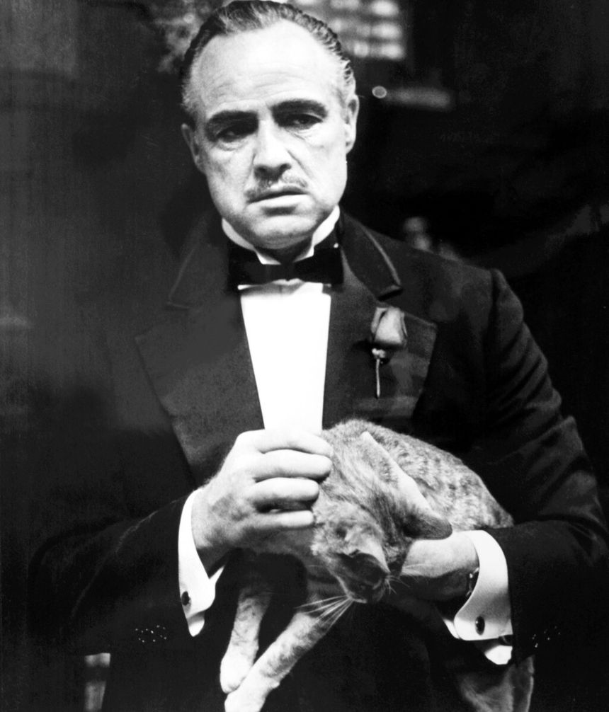 Marlon Brando z kotem