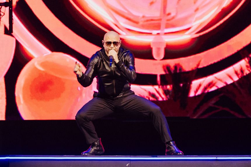 Pitbull Kraków 2025