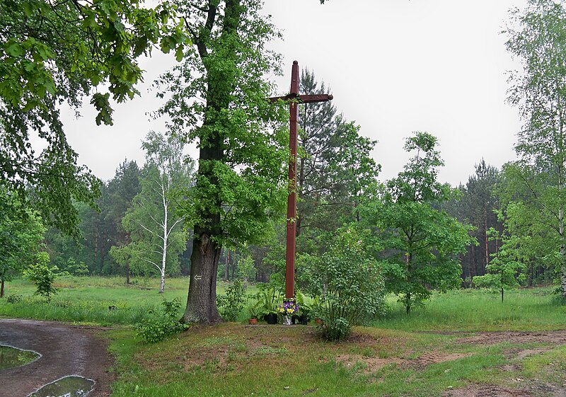 Ponurzyca