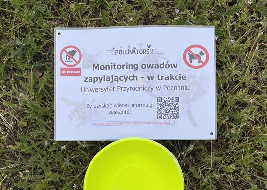 Monitoring owadów zapylających w Poznaniu