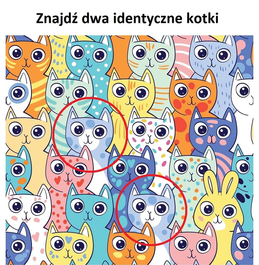 Znajdź dwa identyczne kotki. Rozwiązanie