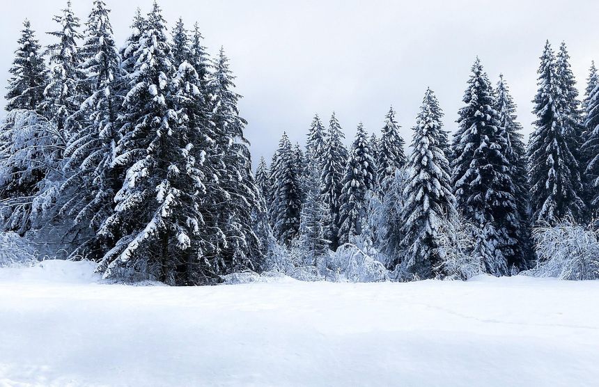 Śnieg, zima