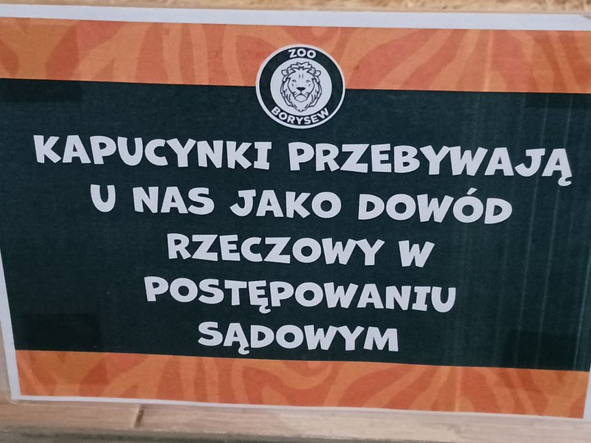ZOO Borysew