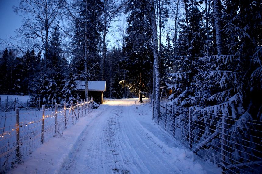 Śnieg, zima