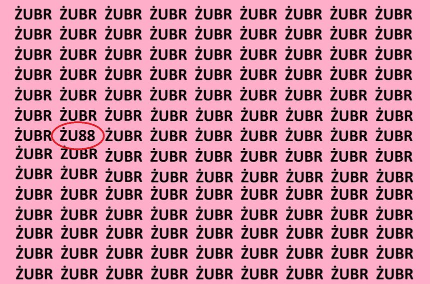 Zagadka optyczna - Żubr. Rozwiązanie