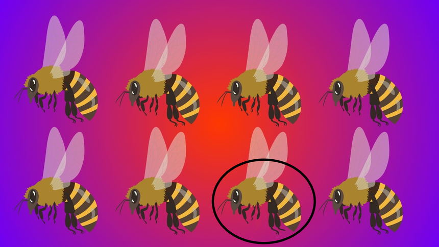 Test na IQ. Fot: Pixabay/ZlotePrzeboje.pl