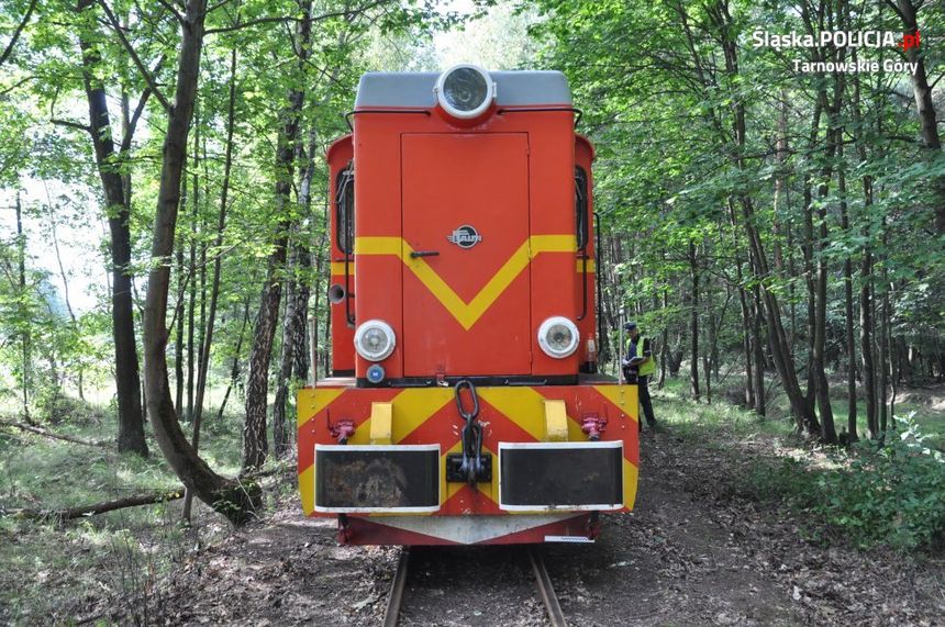 kolejka wąskotorowa