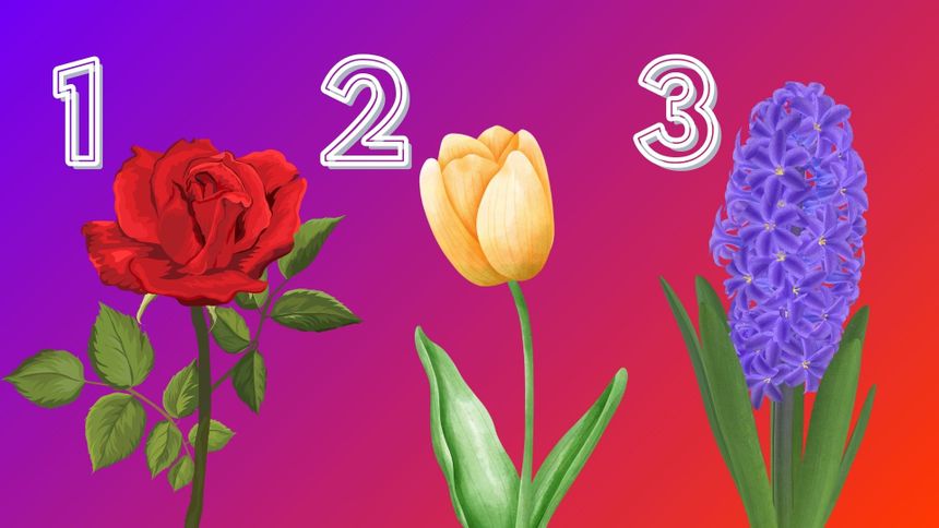 ZłotePrzeboje.pl / Canva