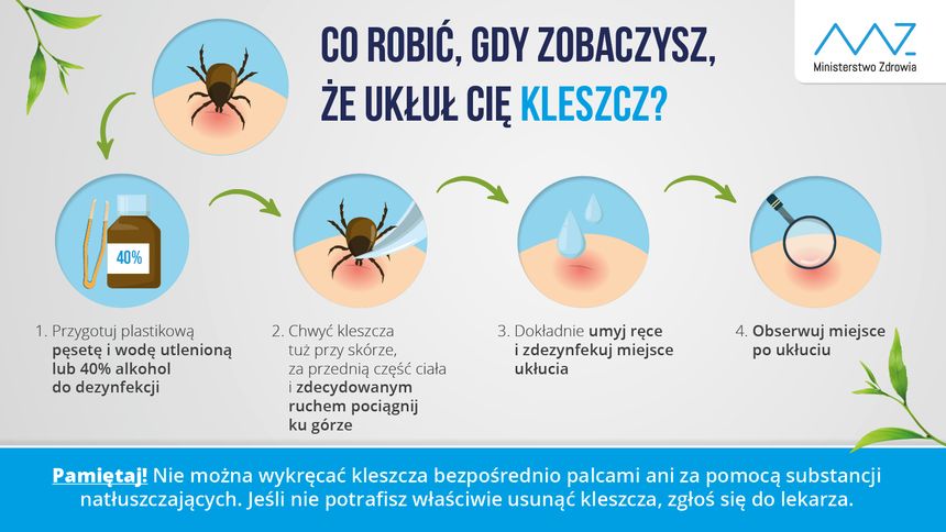 usuwanie kleszcza instrukcja