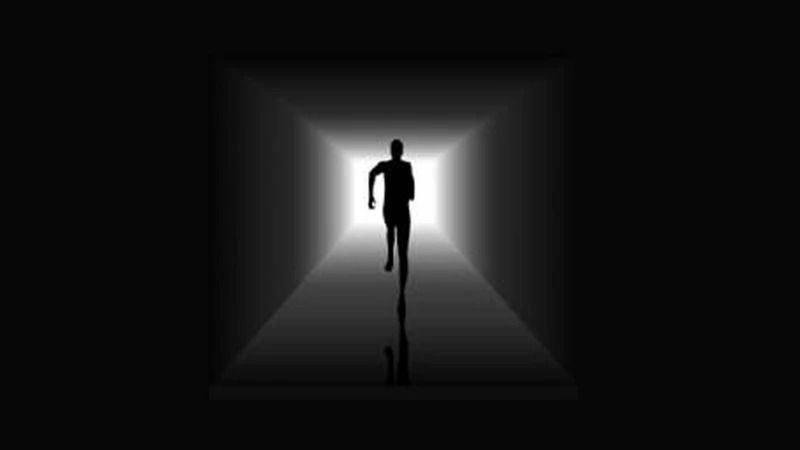 themindsjournal.com