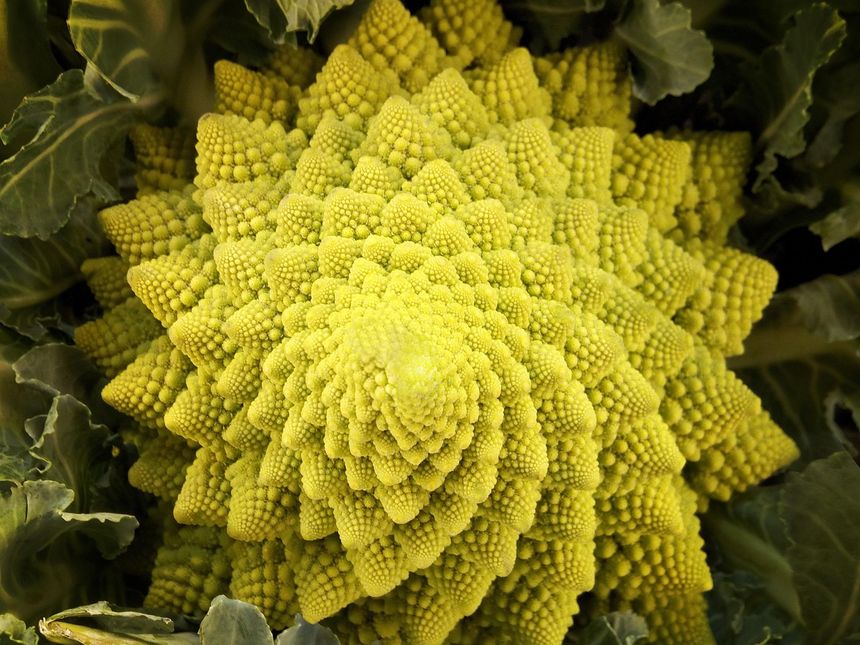 Kalafior romanesco