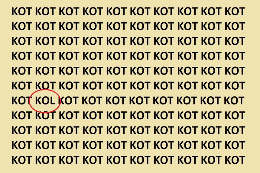 Zagadka optyczna IQ z kotem. Rozwiązanie