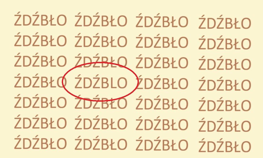 Znajdź błędnie zapisane słowo ŹDŹBŁO. Rozwiązanie