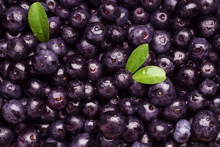 Jagody acai