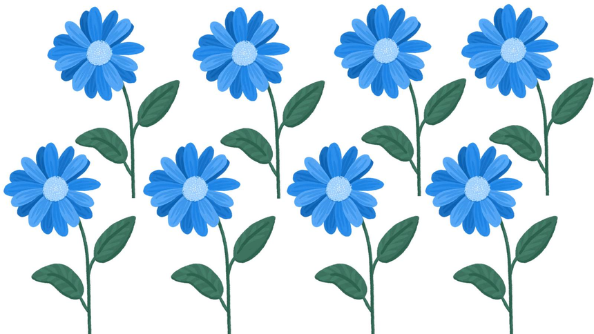 Test na IQ. Fot: Pixabay/ZlotePrzeboje.pl