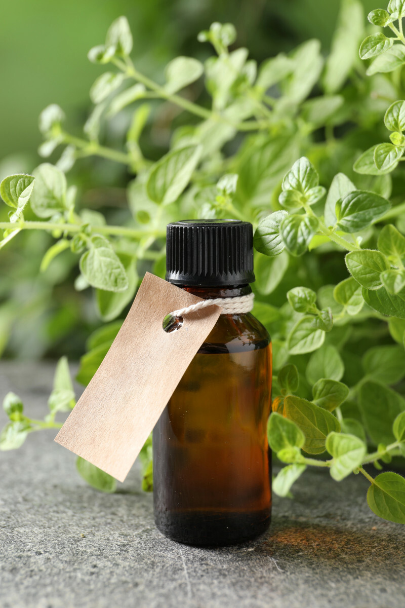 olejek z oregano