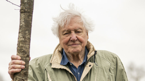 David Attenborough
