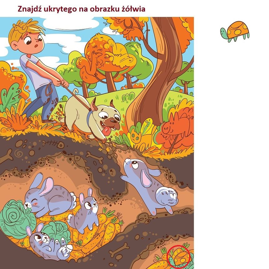 Znajdź ukrytego żółwia. Rozwiązanie