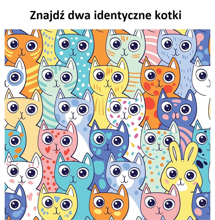Znajdź dwa identyczne kotki