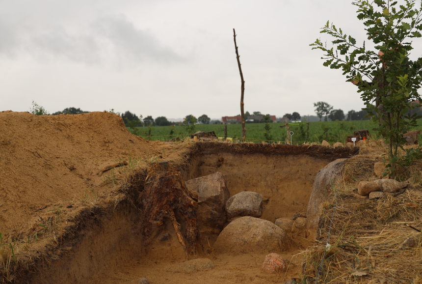 Odsłonięty fragment obstawy kamiennej grobowca