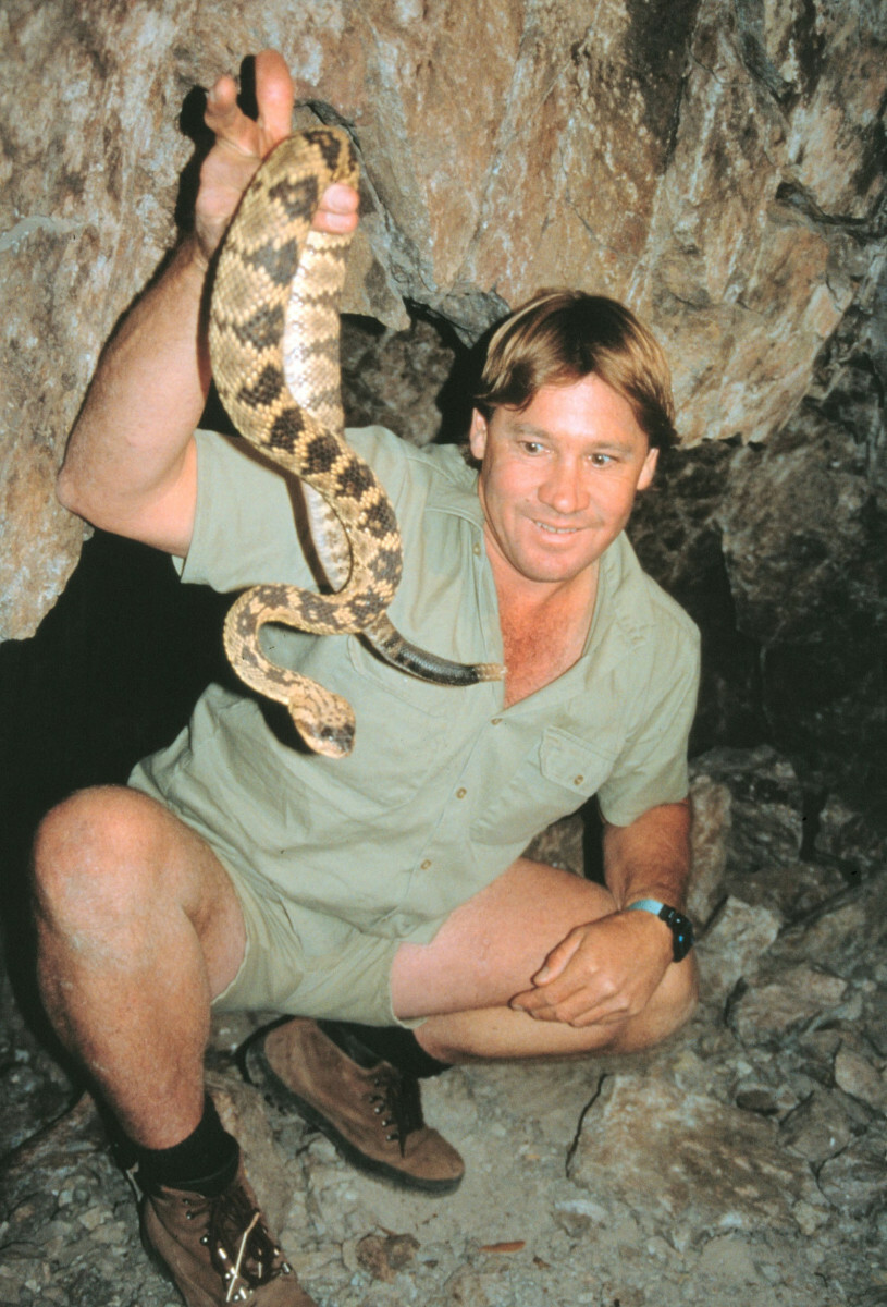 Steve Irwin