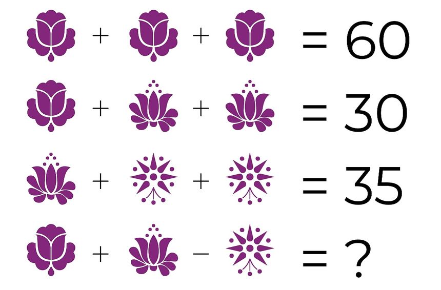 Równania matematyczne. Zadanie