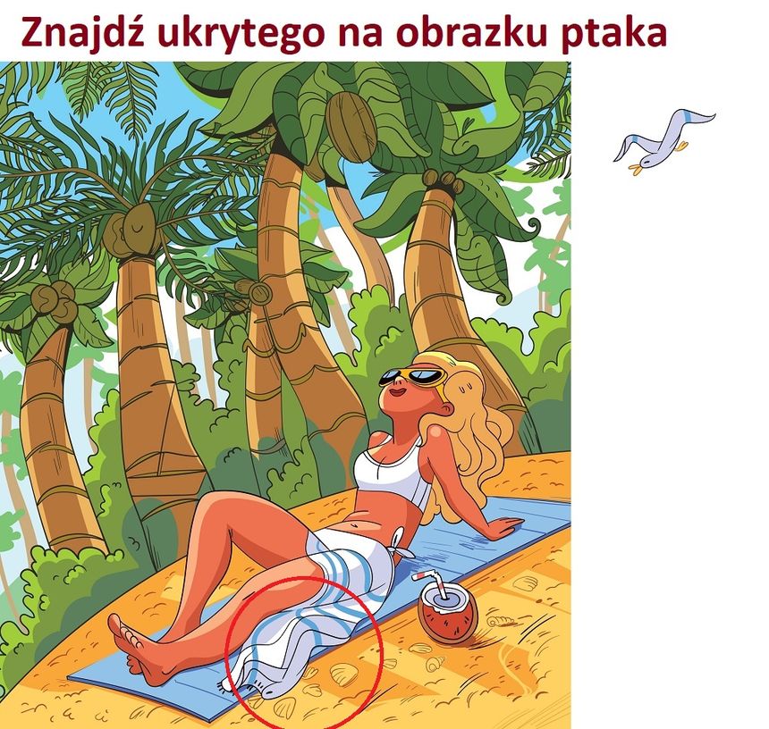 Znajdź ukrytego na obrazku ptaka. Rozwiązanie