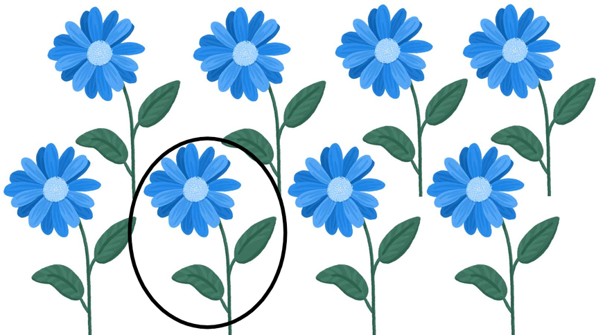 Test na IQ. Fot: Pixabay/ZlotePrzeboje.pl