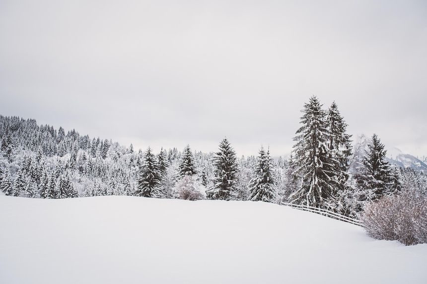 Zima, śnieg