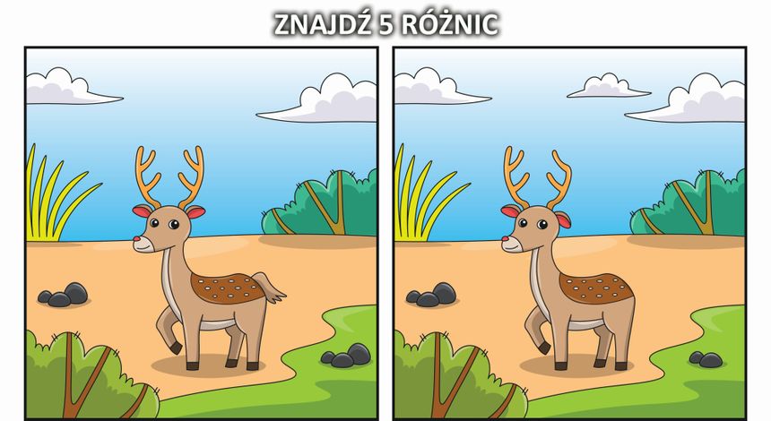 Wizualny test