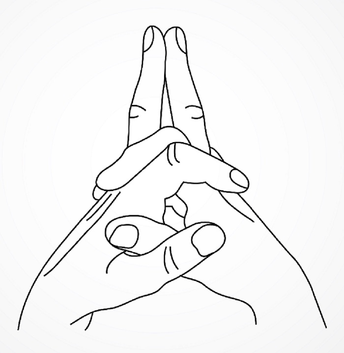 Shutterstock, Matangi mudra