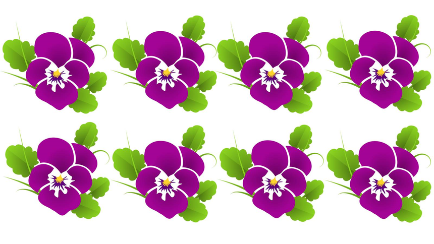 test IQ, Pixabay, ZlotePrzeboje.pl