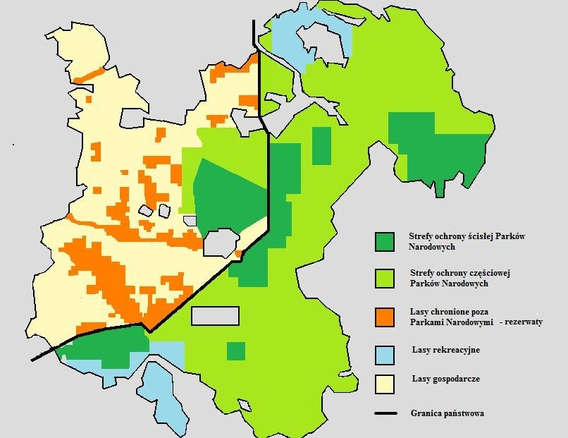 Sposoby zagospodarowania Puszczy Białowieskiej w Polsce i na Białorusi