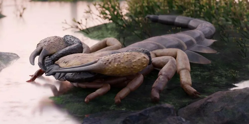 skorpion Praearcturus gigas