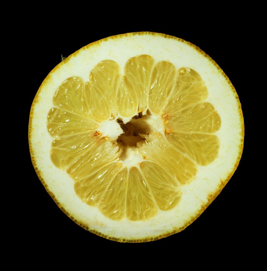 pomelo