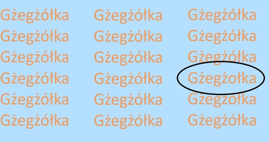 Znajdź błędnie zapisane słowo GŻEGŻÓŁKA. Rozwiązanie