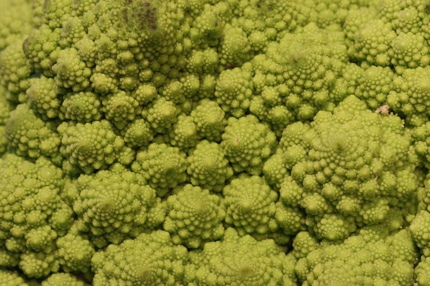 Kalafior romanesco