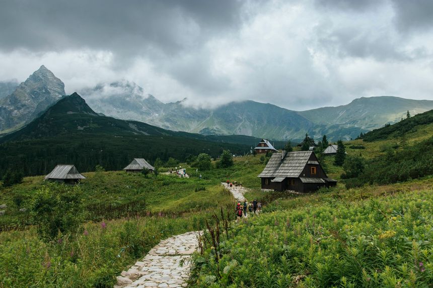 W Polsce jest coraz więcej Amerykanów
